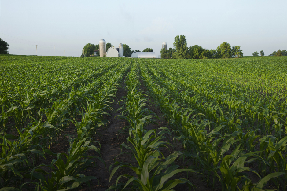 AgSpire Partners with SDSU & Others to Advance Resilience on Cattle Ranches 