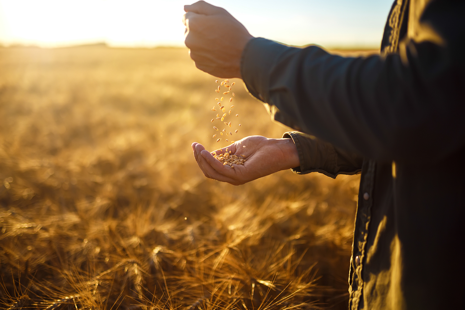 Agriculture’s Environmental Solutions