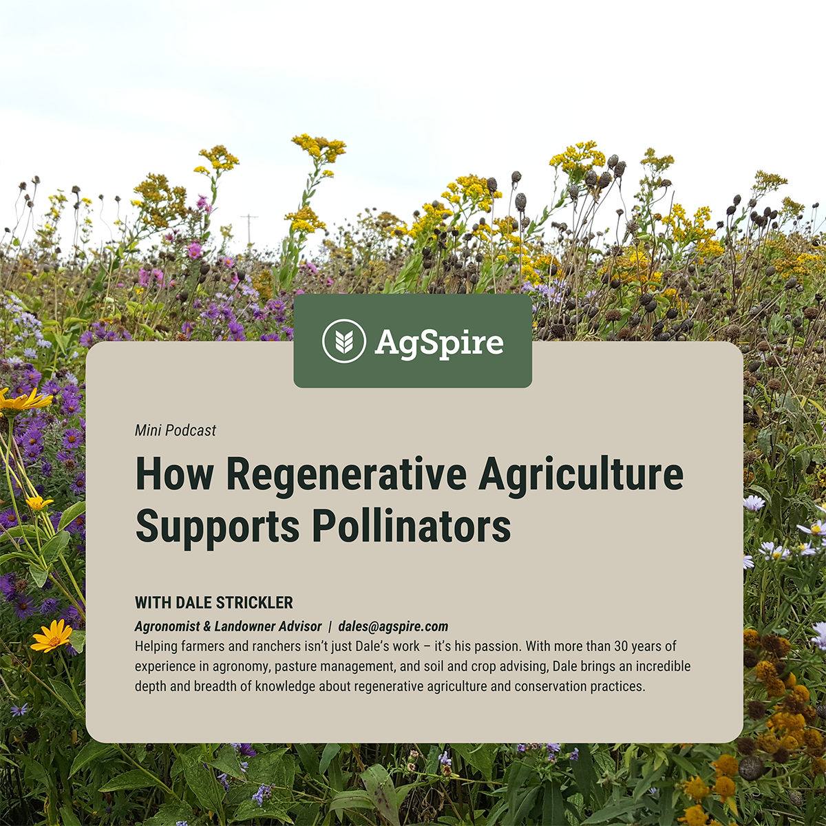 Supporting Pollinators with Regenerative Agriculture
