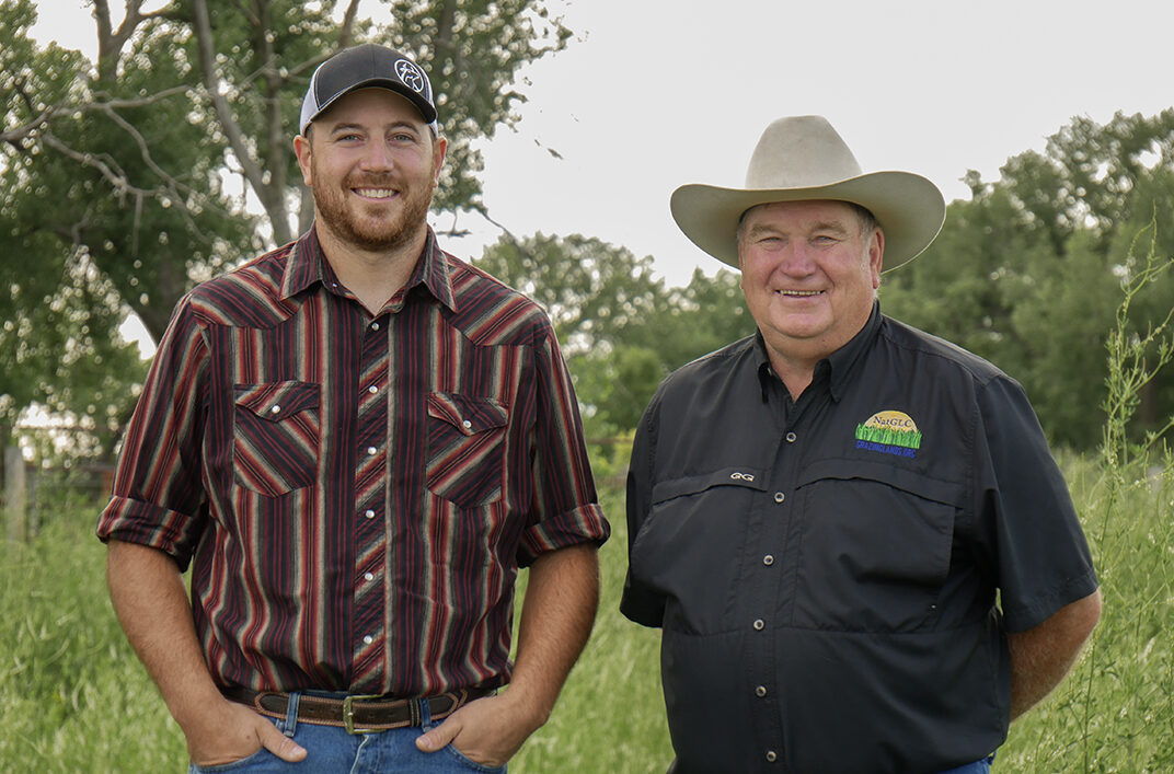 Interseeding for Pasture Improvement