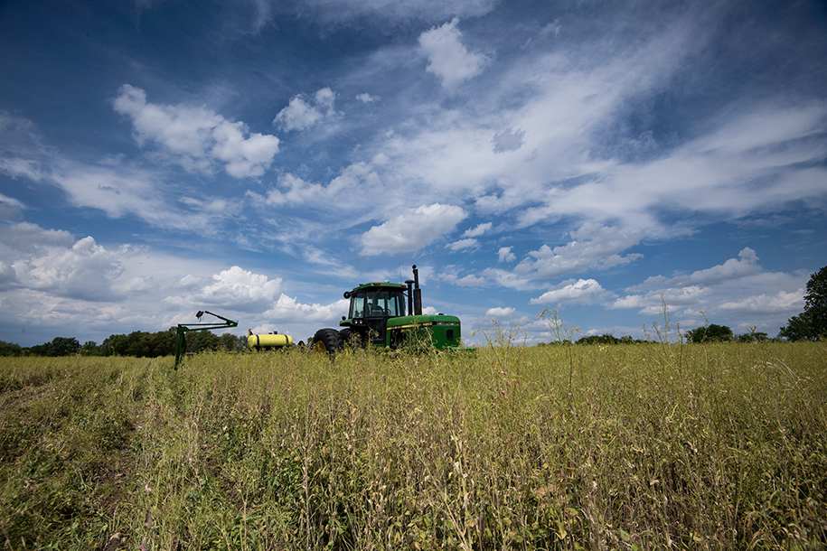 How Cover Crops Can Work for Your Farm