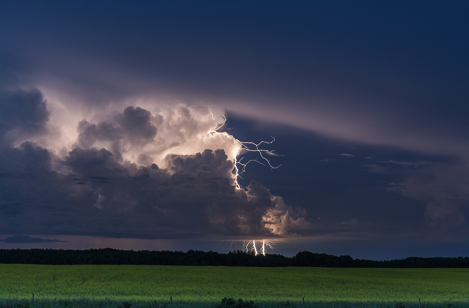 Severe storm over a summer wheat field leads to total crop loss - giving way to new opportunities for cover crops and forage production.