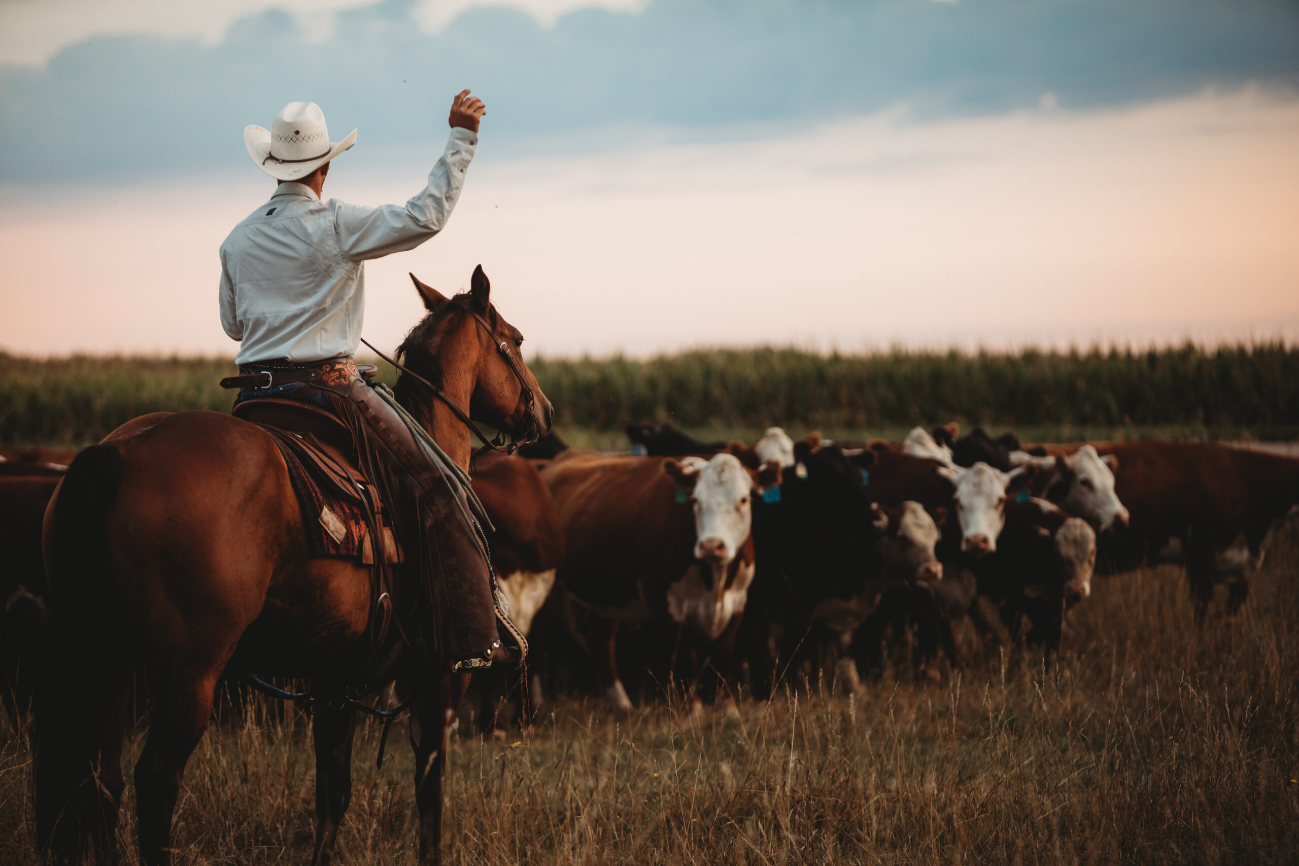 Incentive Programs: A Practical First Step Toward Progress