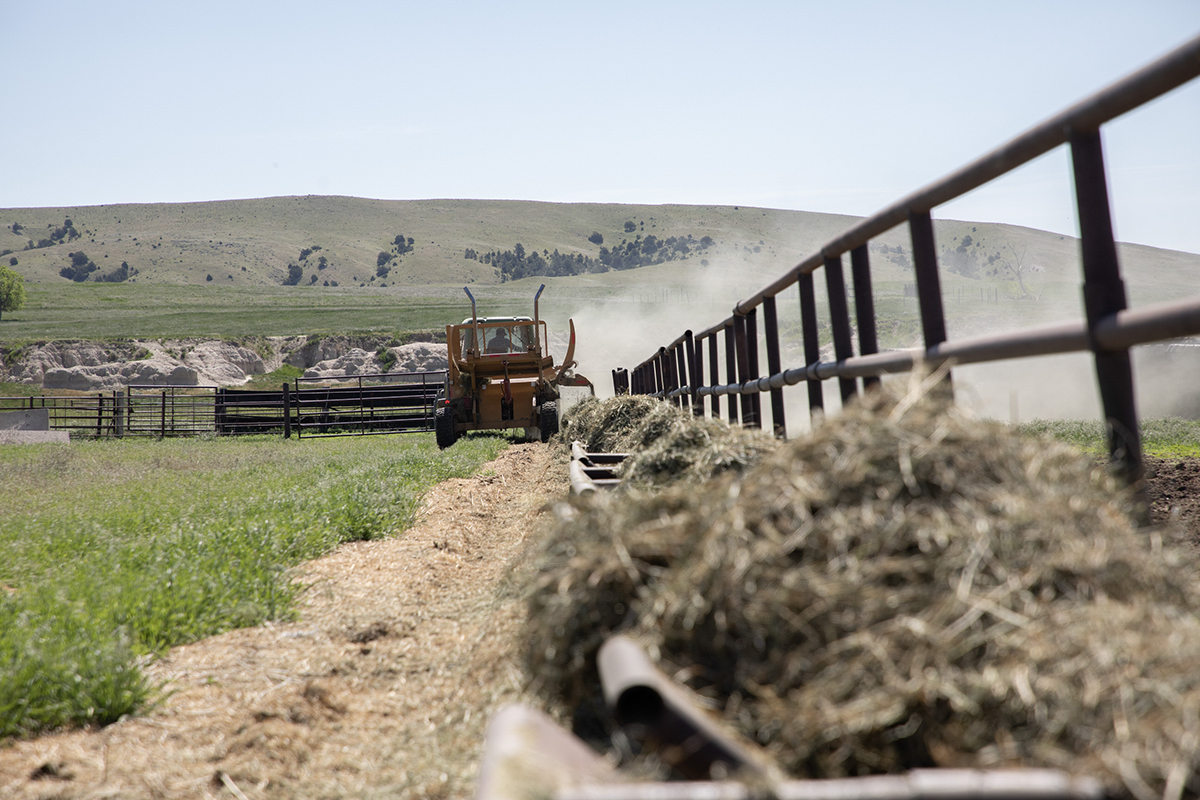Productivity-Based Interventions in Agriculture: Scalable Solutions for Scope 3