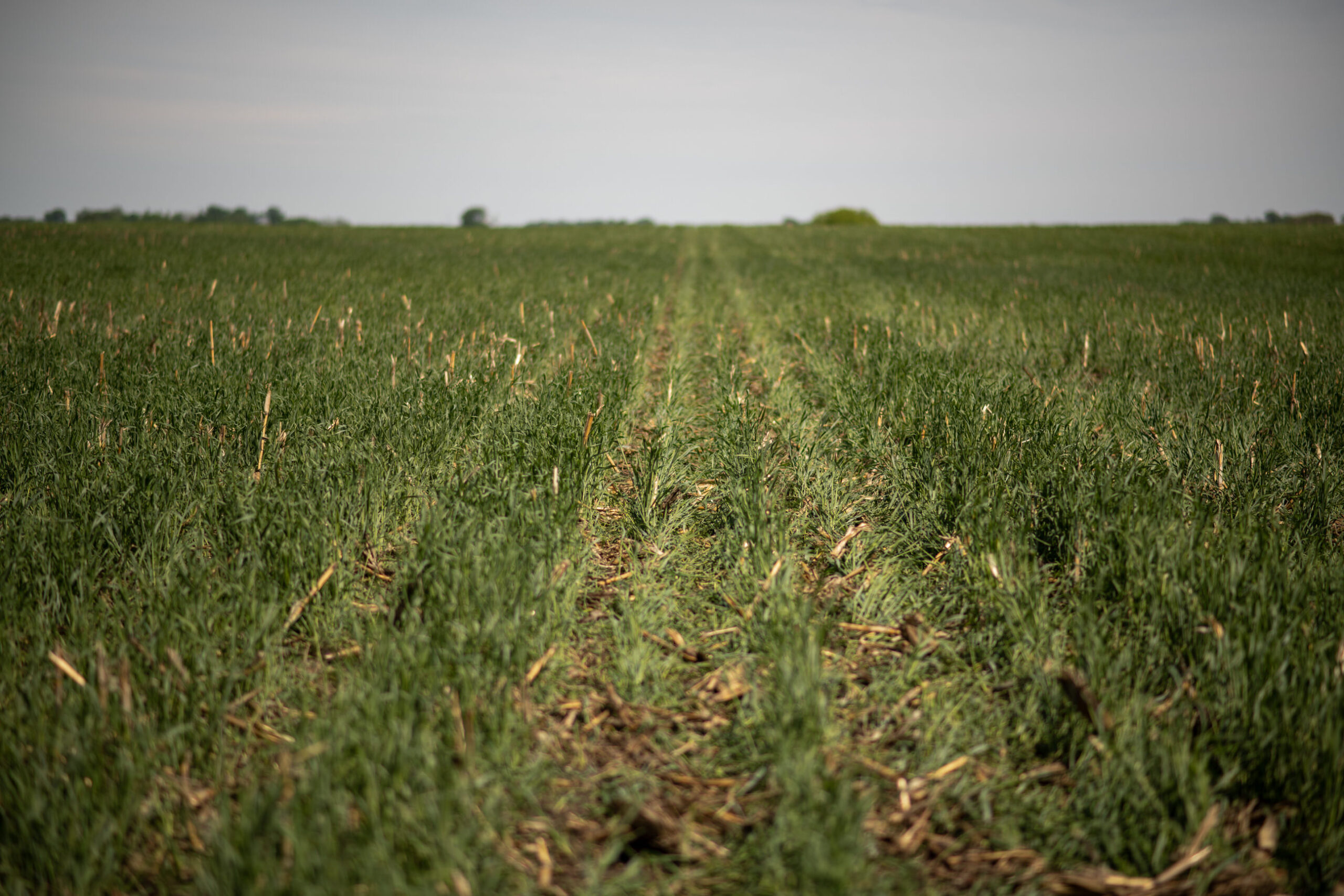 AgSpire works with farmers to improve profitability through regenerative practices 