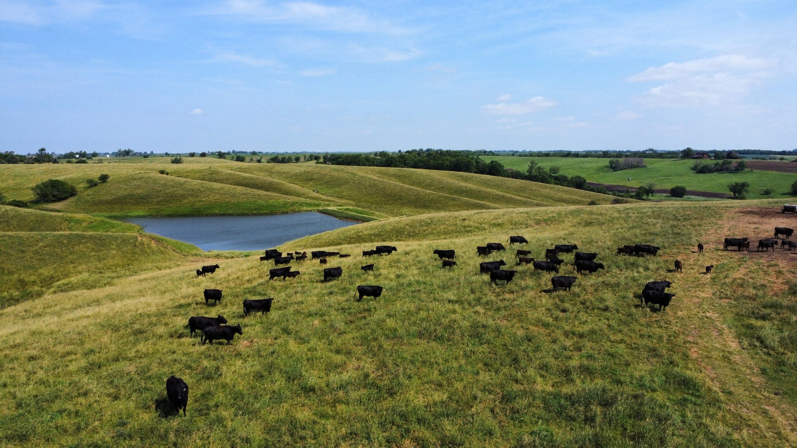 AgSpire works with farmers and ranchers to improve their operations