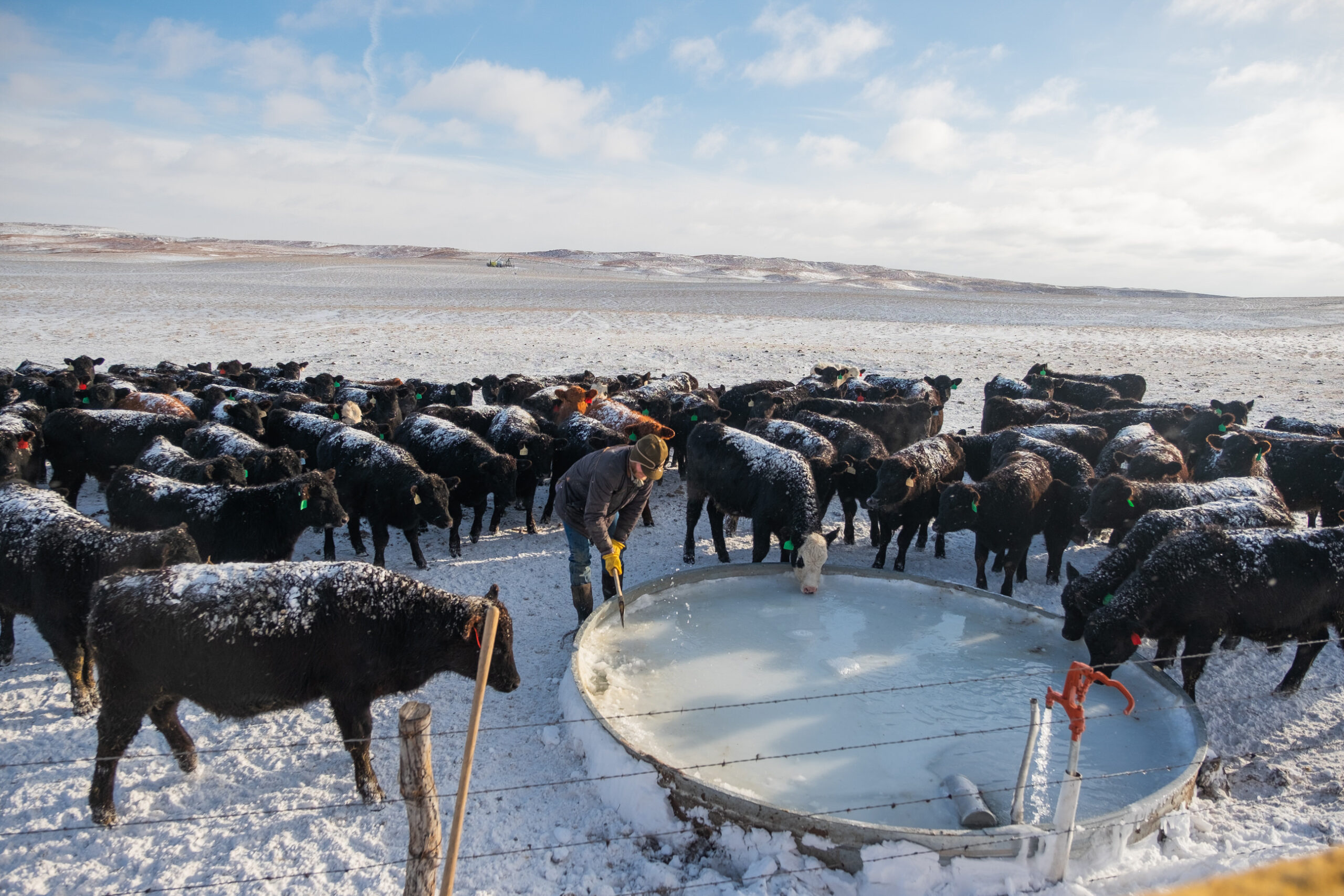 AgSpire can help producers prepare for the winter months