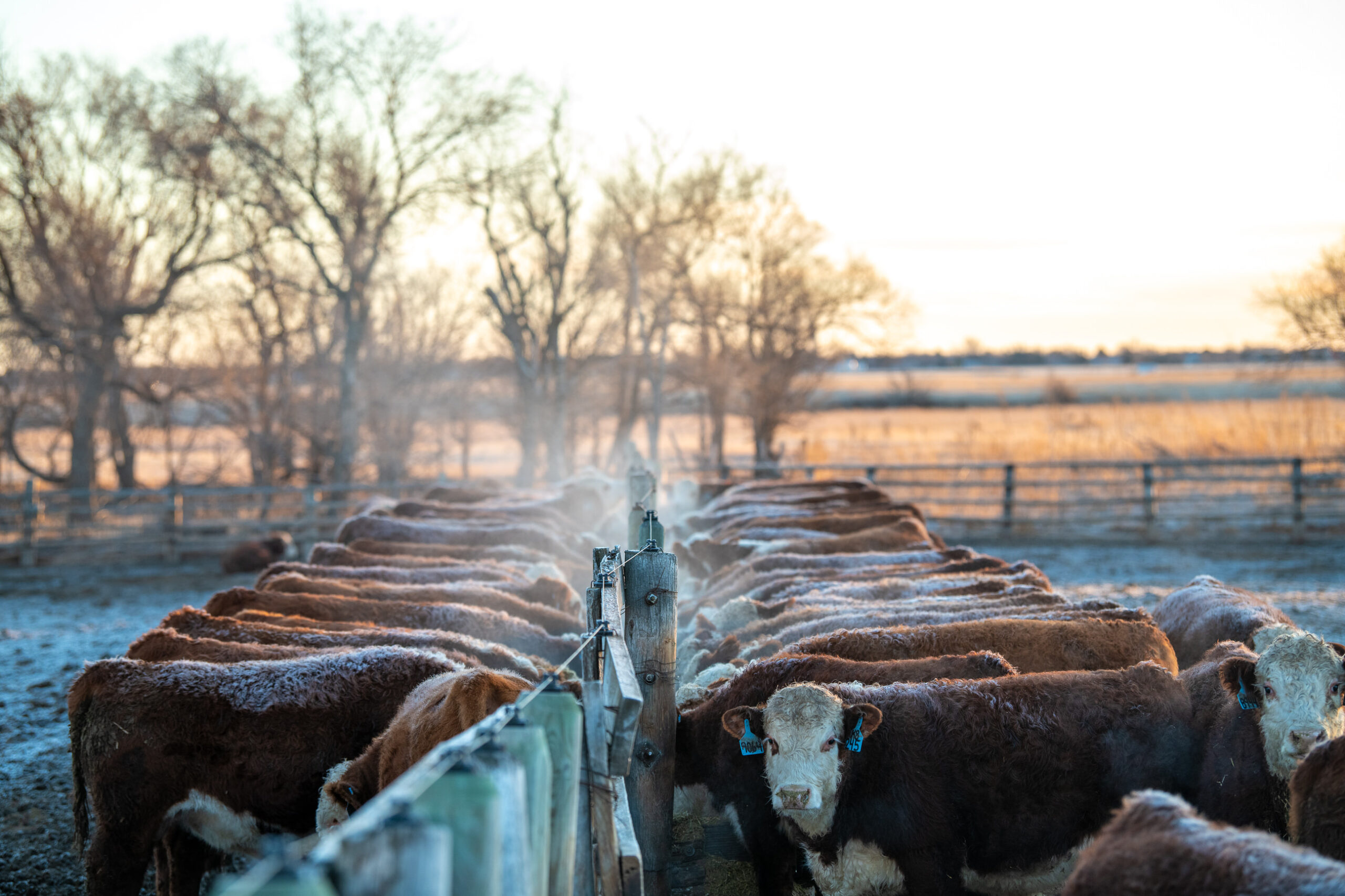 AgSpire can help producers prepare for winter