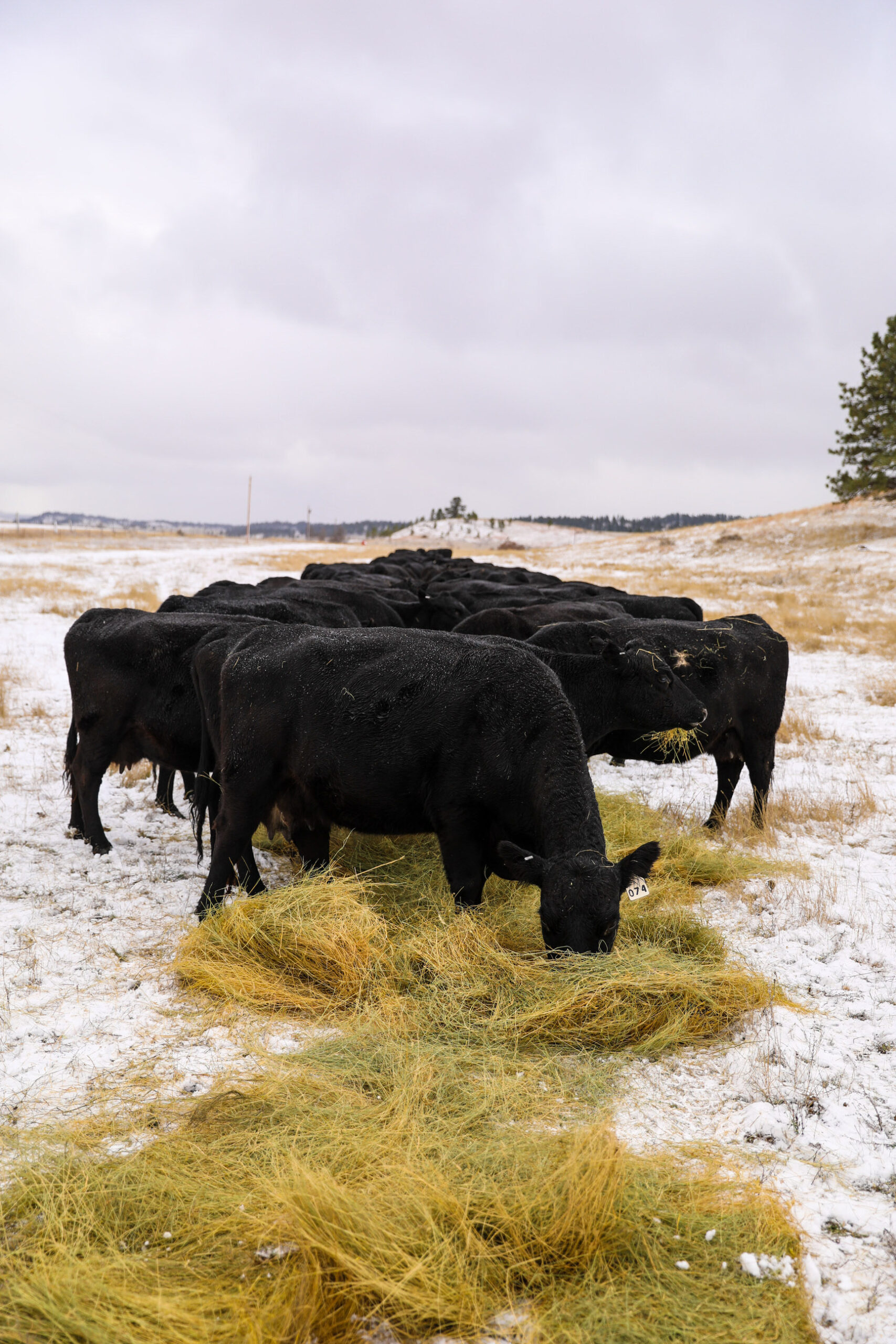 AgSpire helps producers get more with less