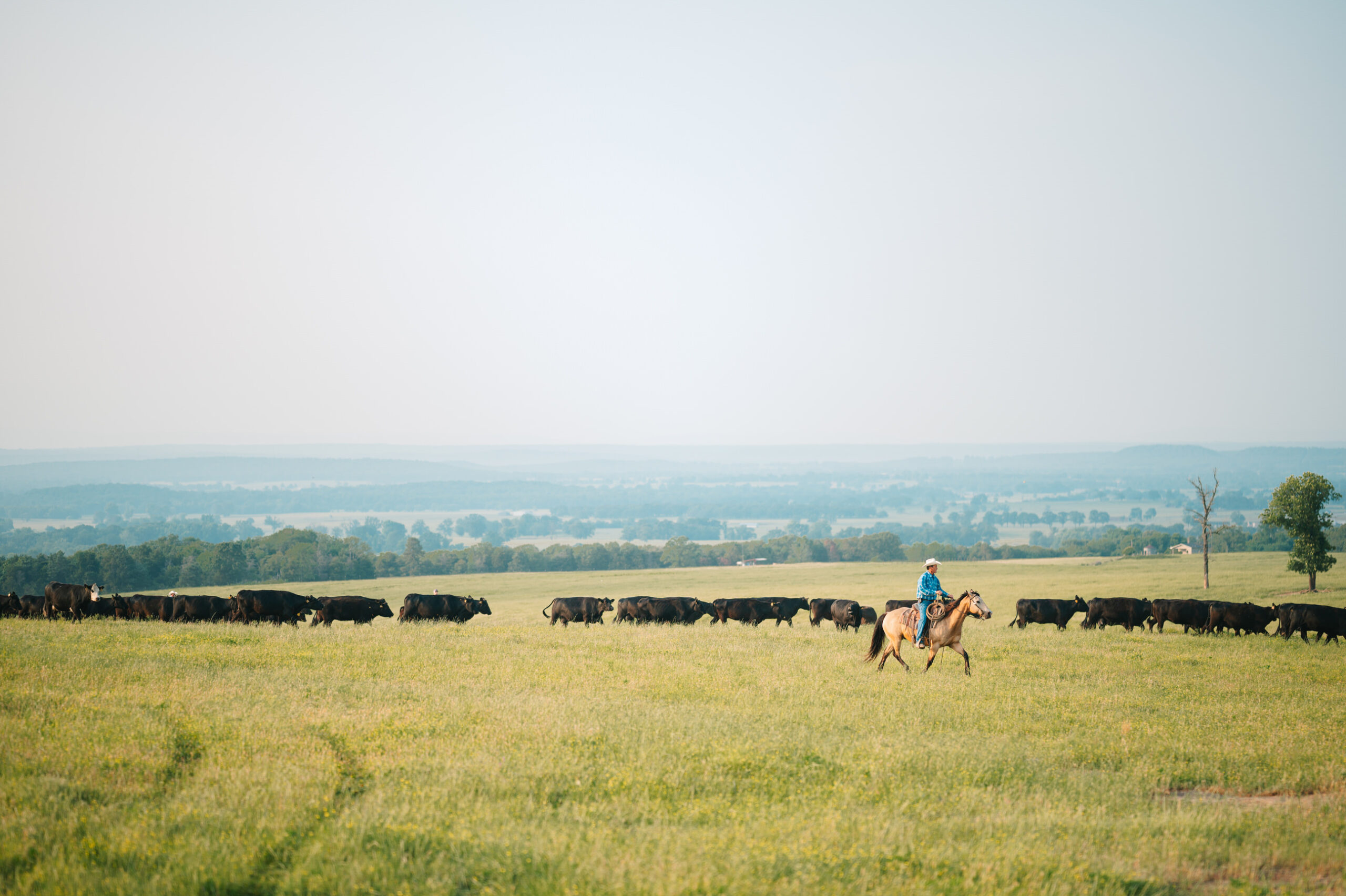 AgSpire works with producers to meet their goals and improve the supply chain.