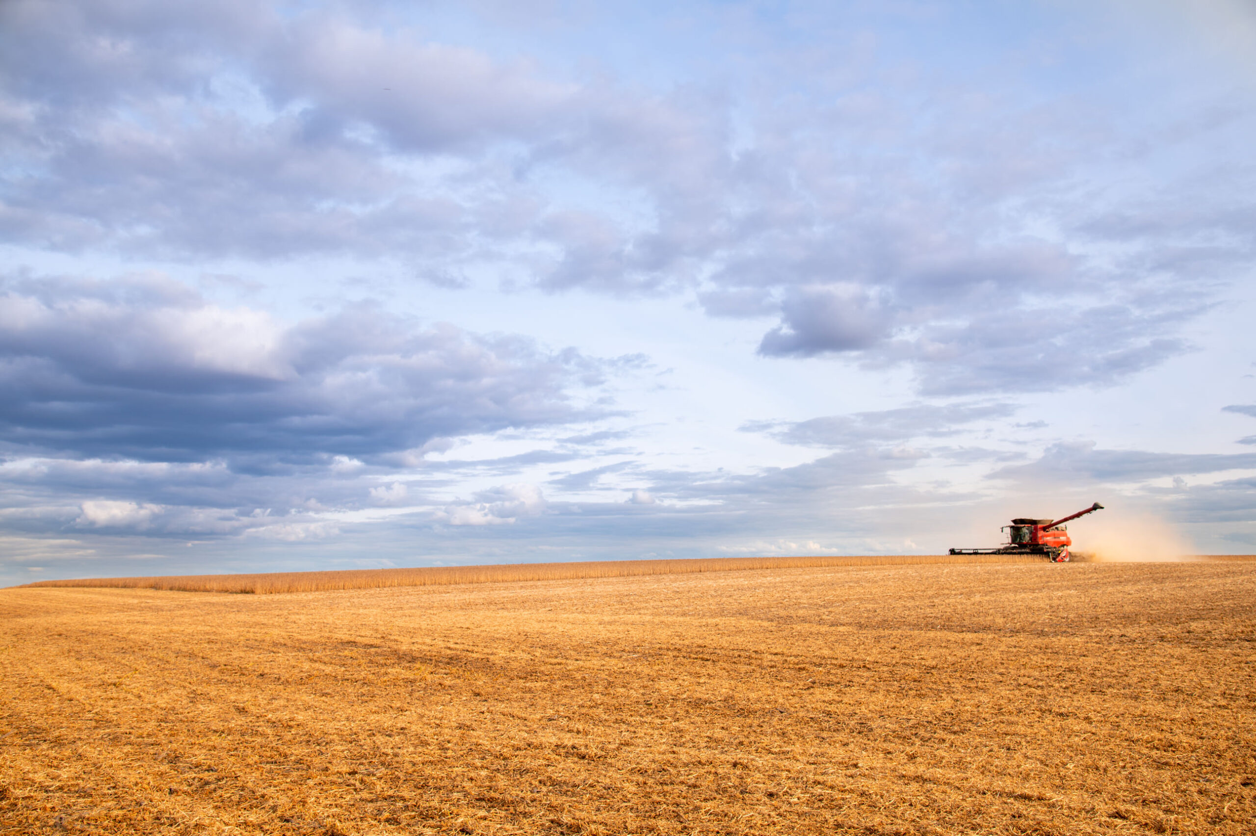 AgSpire helps producers find new markets and opportunities. 