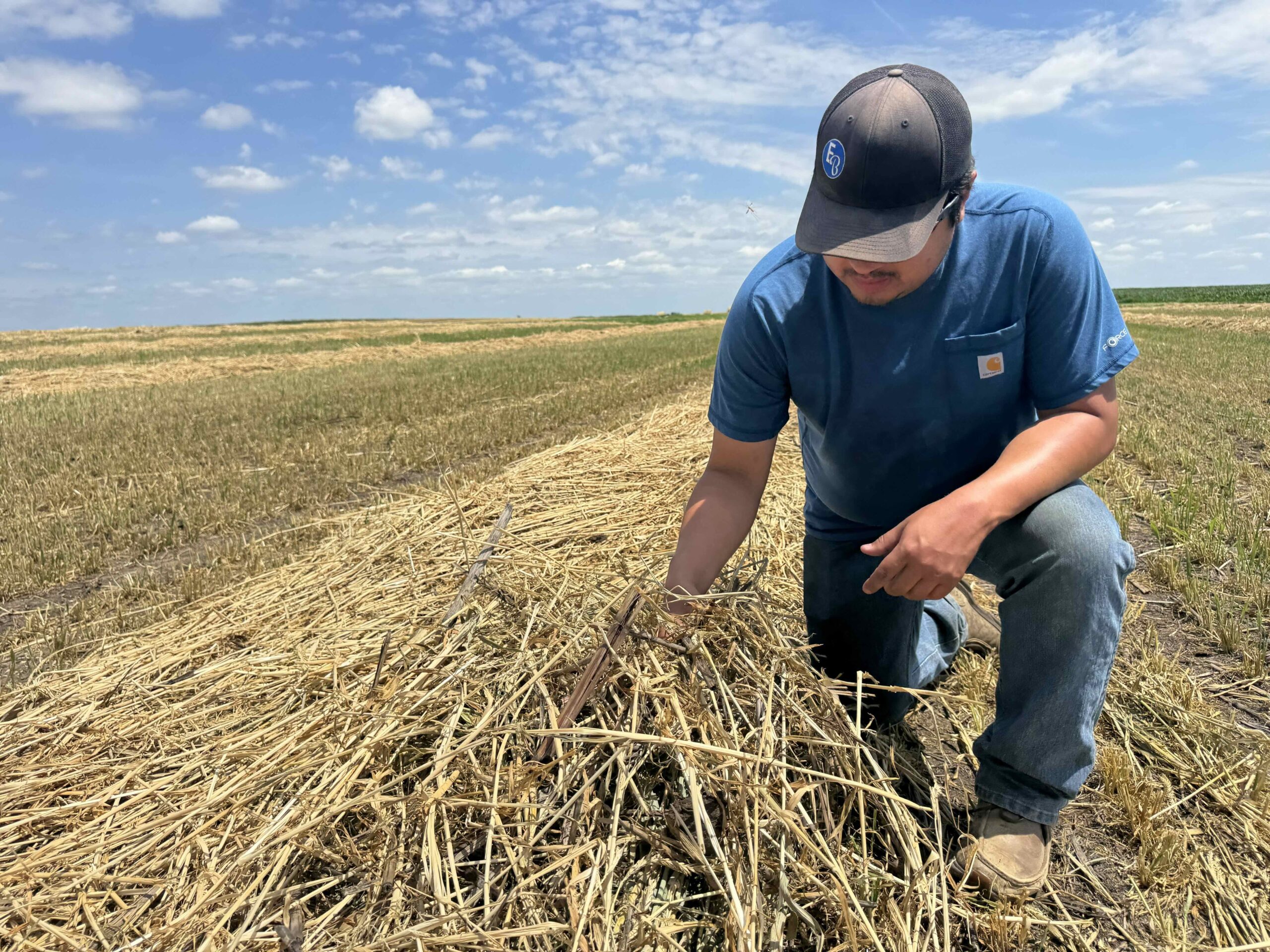 AgSpire pays producers to put acreage back to forage