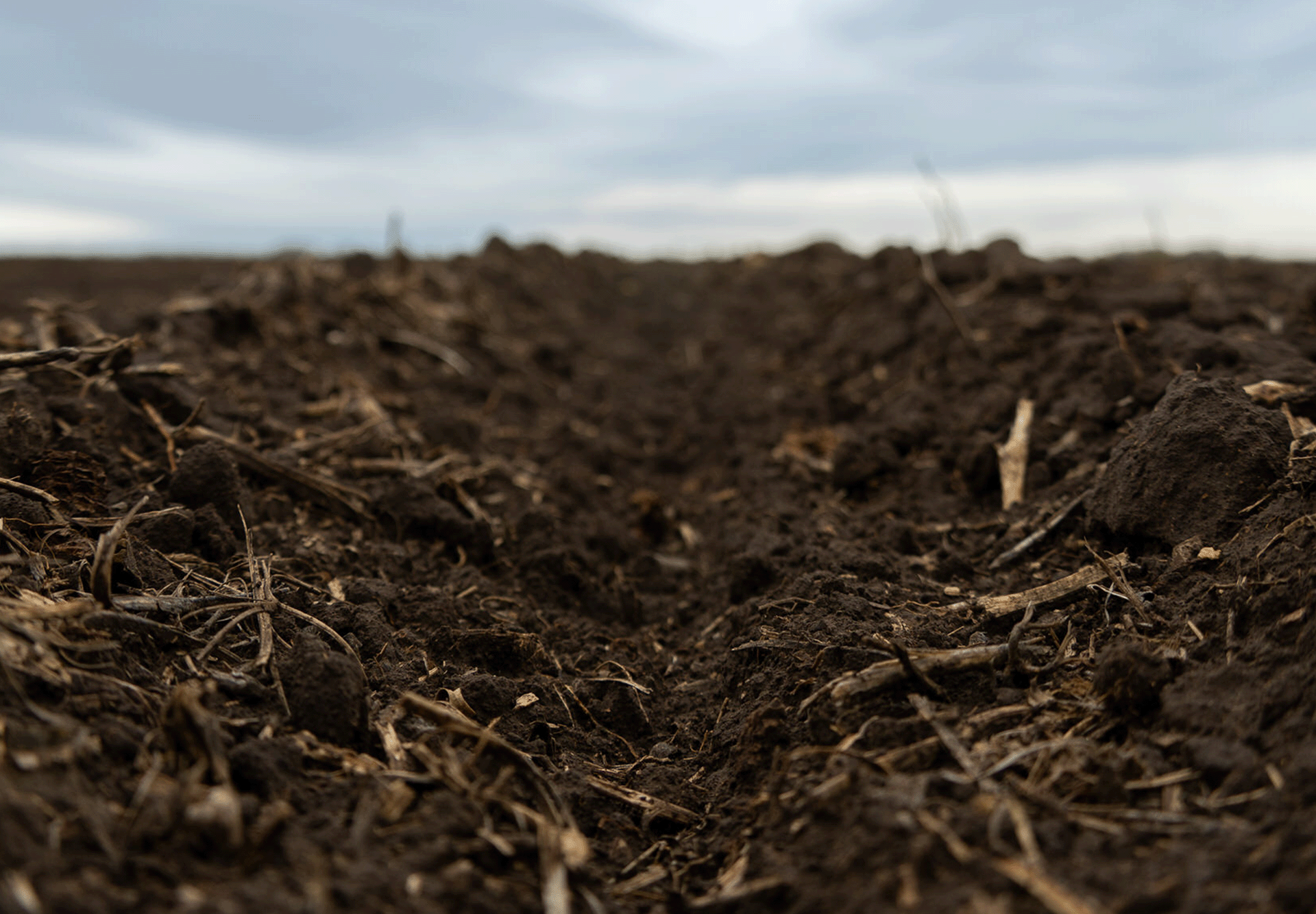 Soil Health